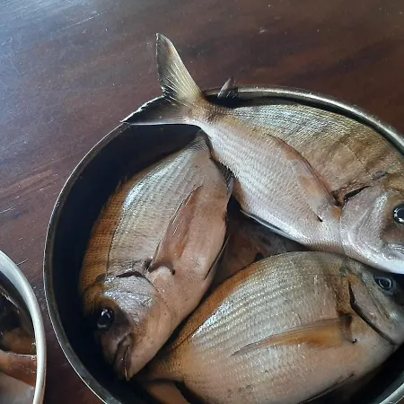 Apartamento Andros Eco *