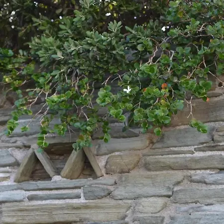 Apartamento Andros Eco Gavrio