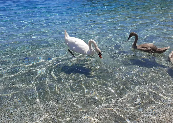 Lägenhet Andros Eco *