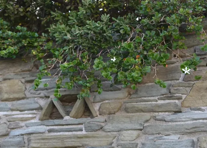 Lägenhet Andros Eco Gavrio