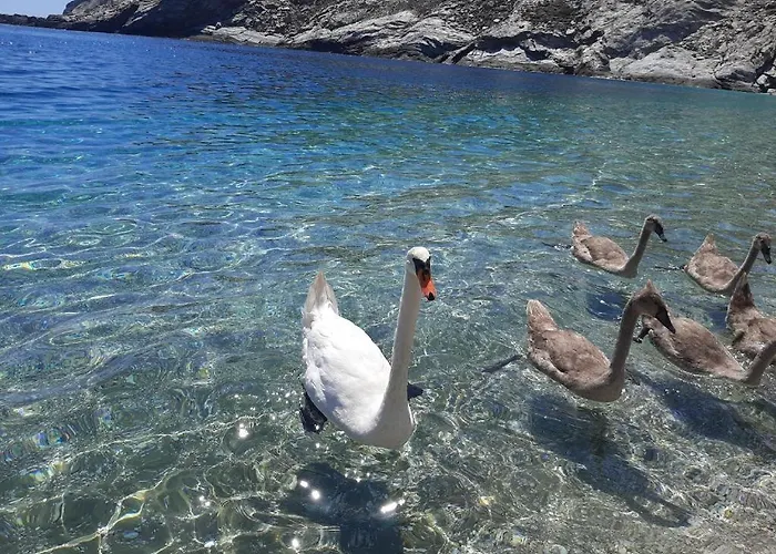 Lägenhet Andros Eco Gavrio