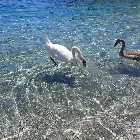 Apartment Andros Eco *