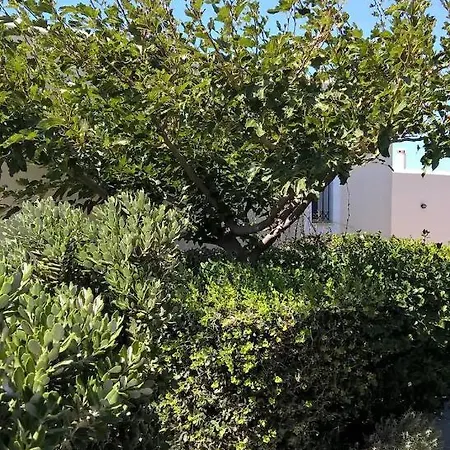 Apartment Andros Eco