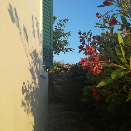 Andros Eco