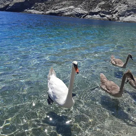 Apartment Andros Eco Gavrio