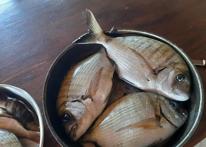 Lejlighed Andros Eco *