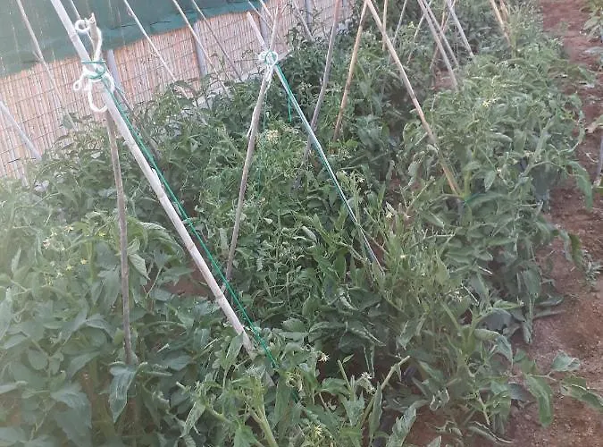 Lejlighed Andros Eco *