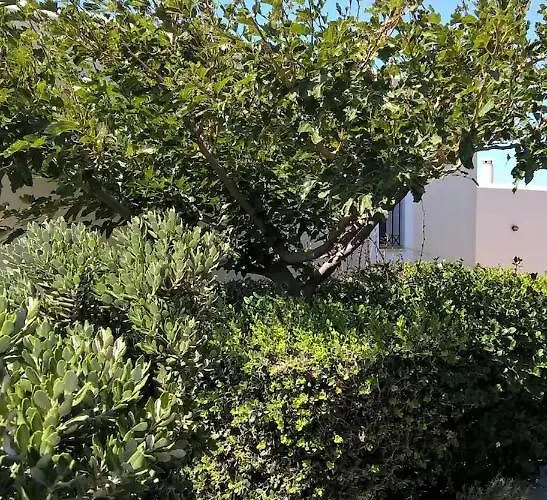 Appartement Andros Eco